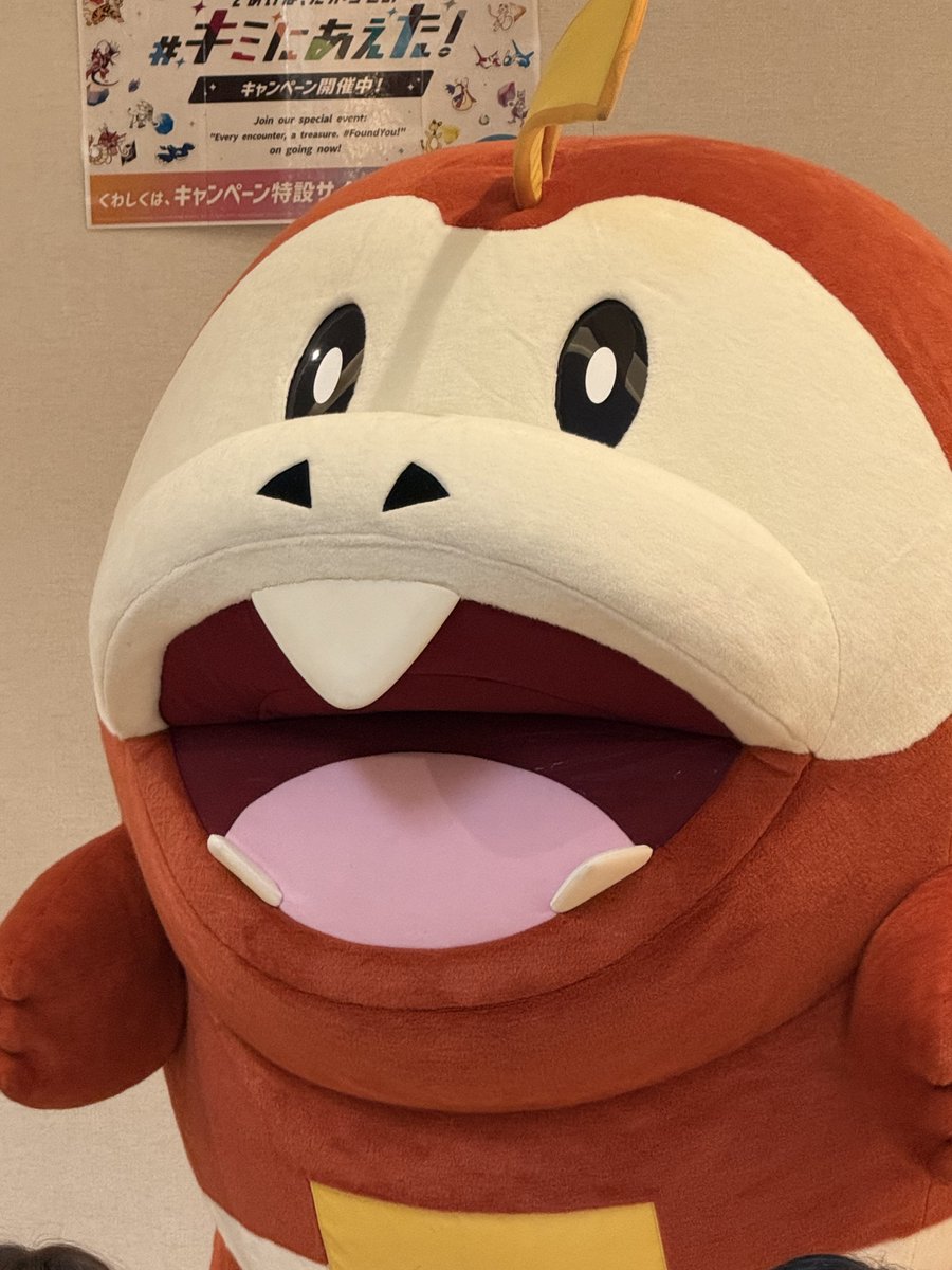 0rrma's tweet photo. ホゲホゲホゲホゲ‼️ https://t.co/J6aLxQWtO1