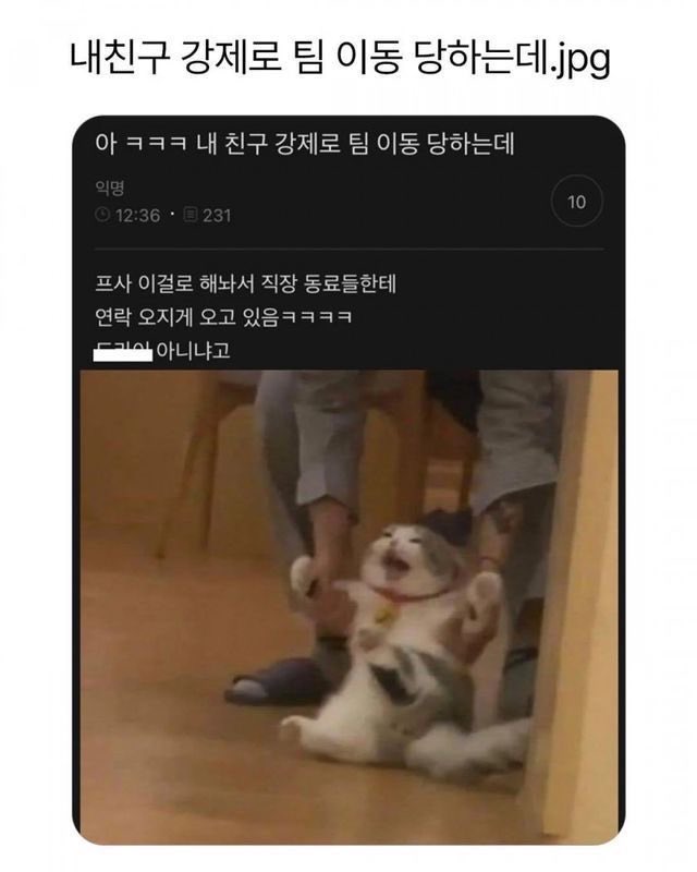 small__cute_'s tweet photo. 강제로 팀 이동 당하는 동료 카톡프사 ㅠㅋㅋㅋㅋ https://t.co/PALR8kZfCi