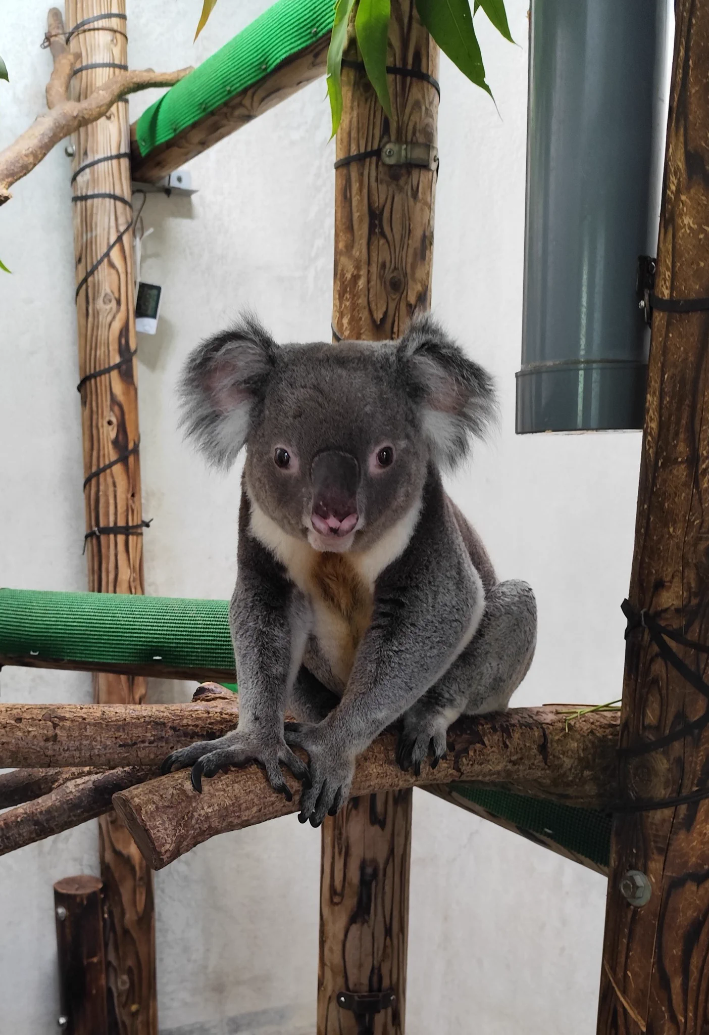 横浜市立金沢動物園【公式】 on X: 
