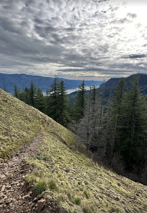 TheRealJimLarp's tweet photo. Climbed this mountain, i asked the shepard where are we? He said, "the peak" https://t.co/Elyhs5U5Cq