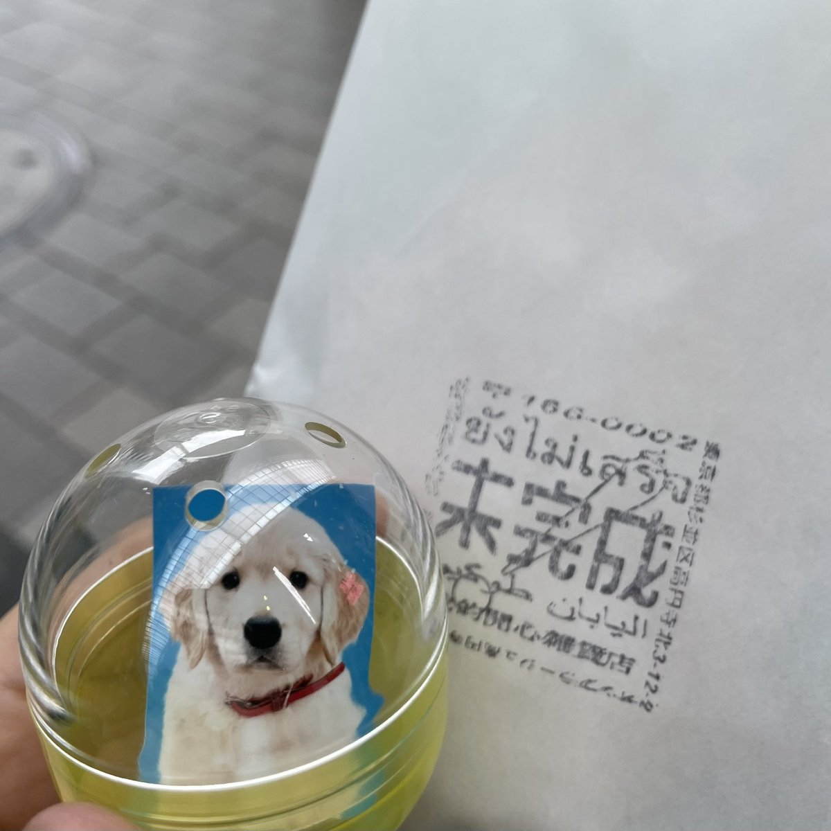 ____hibernation's tweet photo. 生活圏が変わってこの辺来なくなってしまったからひさしぶりで嬉しかった！少しずつ載せてたなみすけ巡りの日の投稿おわり！ https://t.co/kp4wmrvRif