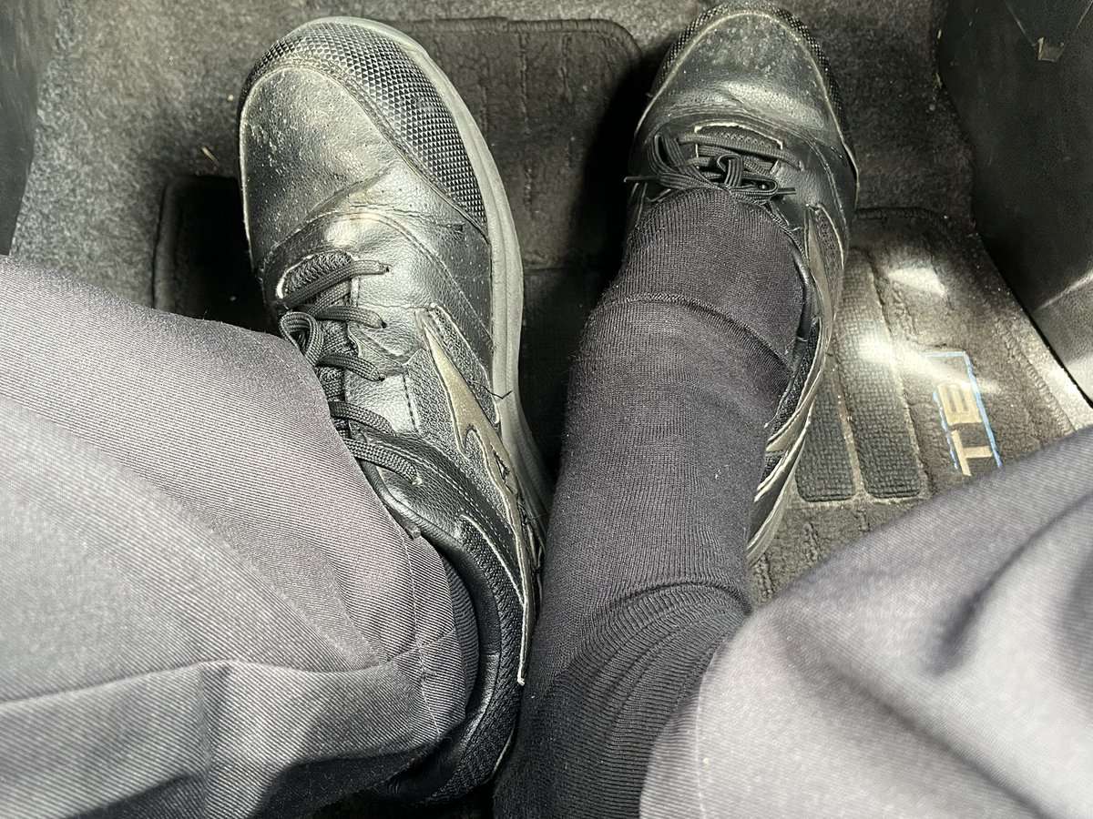 liusocks's tweet photo. 午前中の雨で濡れて張り付く https://t.co/MBf8NZ0056