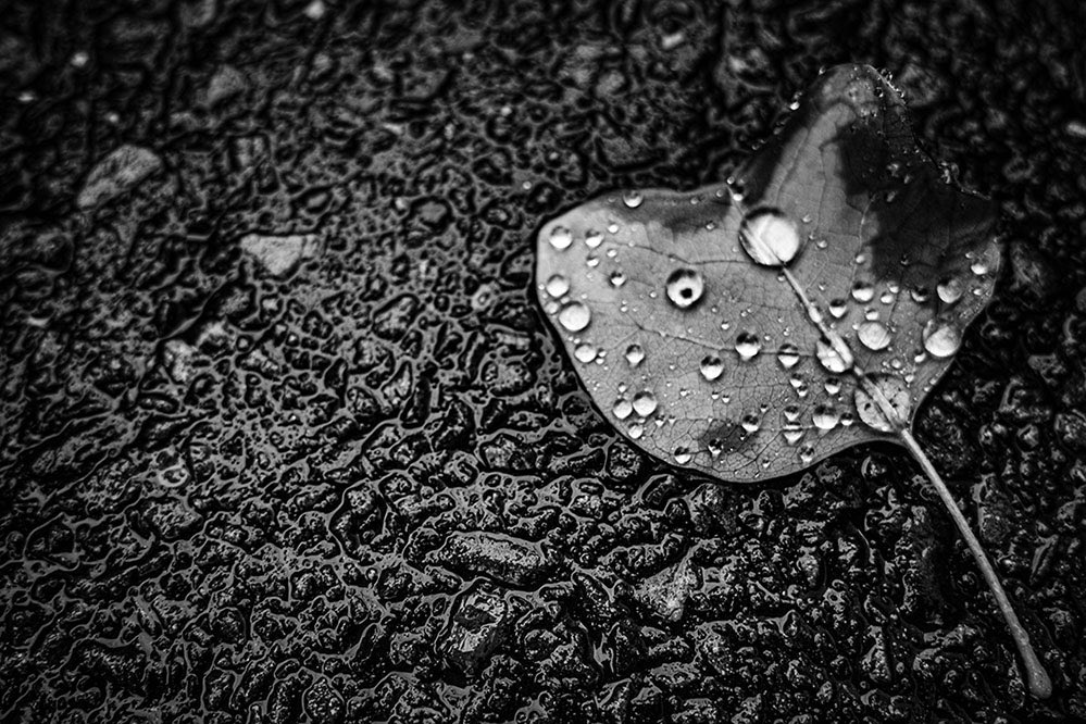 NKJ_CameraLife's tweet photo. rain

#iGR4monochrome
 #snap #monochromethe 

road is life. https://t.co/TFoY8aWP5s