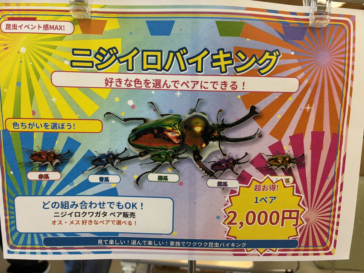 Dekoboko_farm's tweet photo. 【出店情報】

本日、岡崎トレーダーに出店してます！

ぶっちゃけますと、目玉種があまりないのでエンタメに振り切りました🤦🏻‍♂️ https://t.co/ZVwUn55Qu9