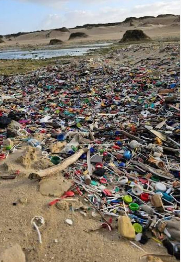 Born1virgin's tweet photo. @GeneralDonjulio @weloveghana042 This macassar beach in Cape Town 😂😂😂. You will continue to be slave in your own  country  forever. Mention just one big company in south Africa owned by a black South African https://t.co/qz6NpwLps8
