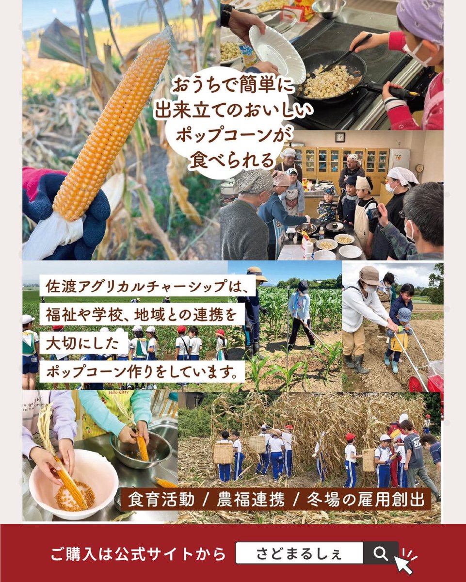 sadomarche's tweet photo. 【佐渡島のポップコーン用乾燥とうもろこし🌽】

自社栽培のポップコーン用とうもろこし（ポップ種）🌽
国産ポップ種の国内自給率は1％未満といわれる希少なとうもろこしなんです✨

ふわっと軽やかな食感と口どけの良さが特長。
😋

🔗こちらからチェック！
https://t.co/Vf09uzccni https://t.co/ooHTMTqA2K