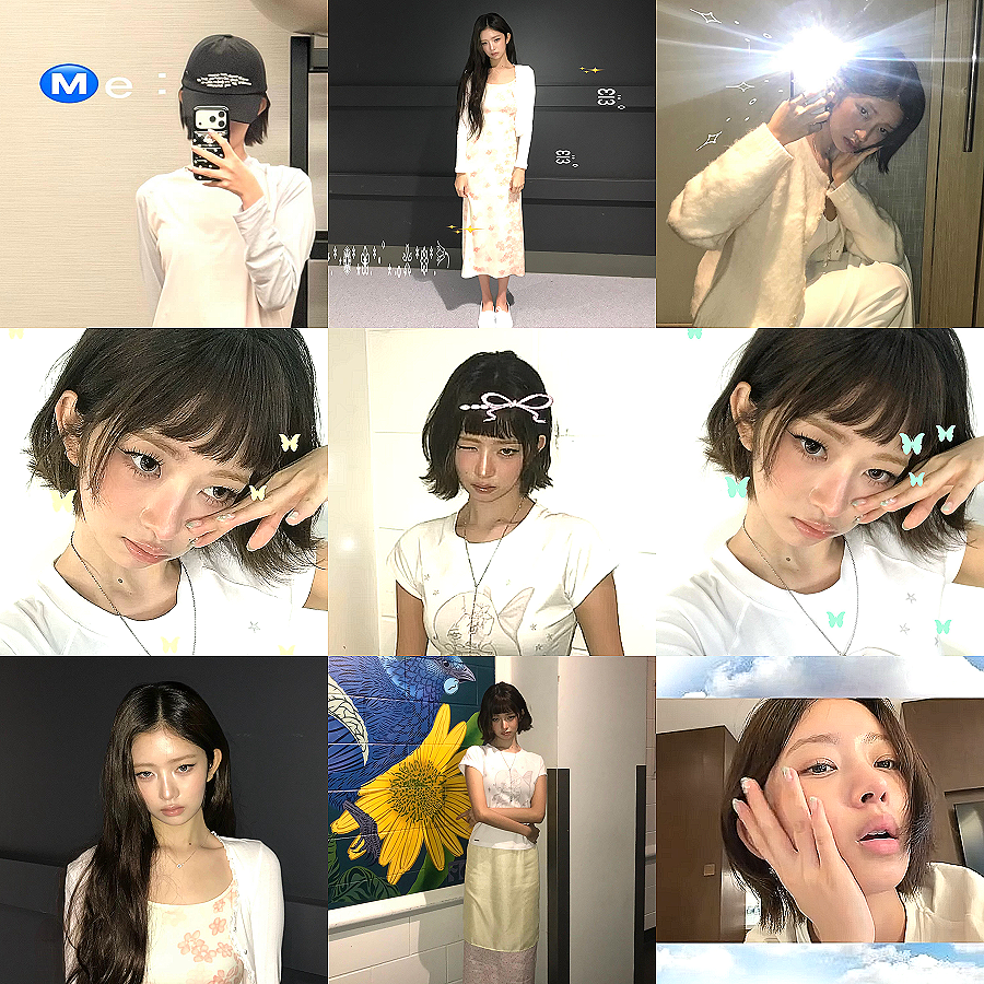 FORSUNREIS's tweet photo. La la la•*¨🐨*♡•.¸¸🥝♬•*¨*•.¸¸♪ https://t.co/kZ7vIeyIGF