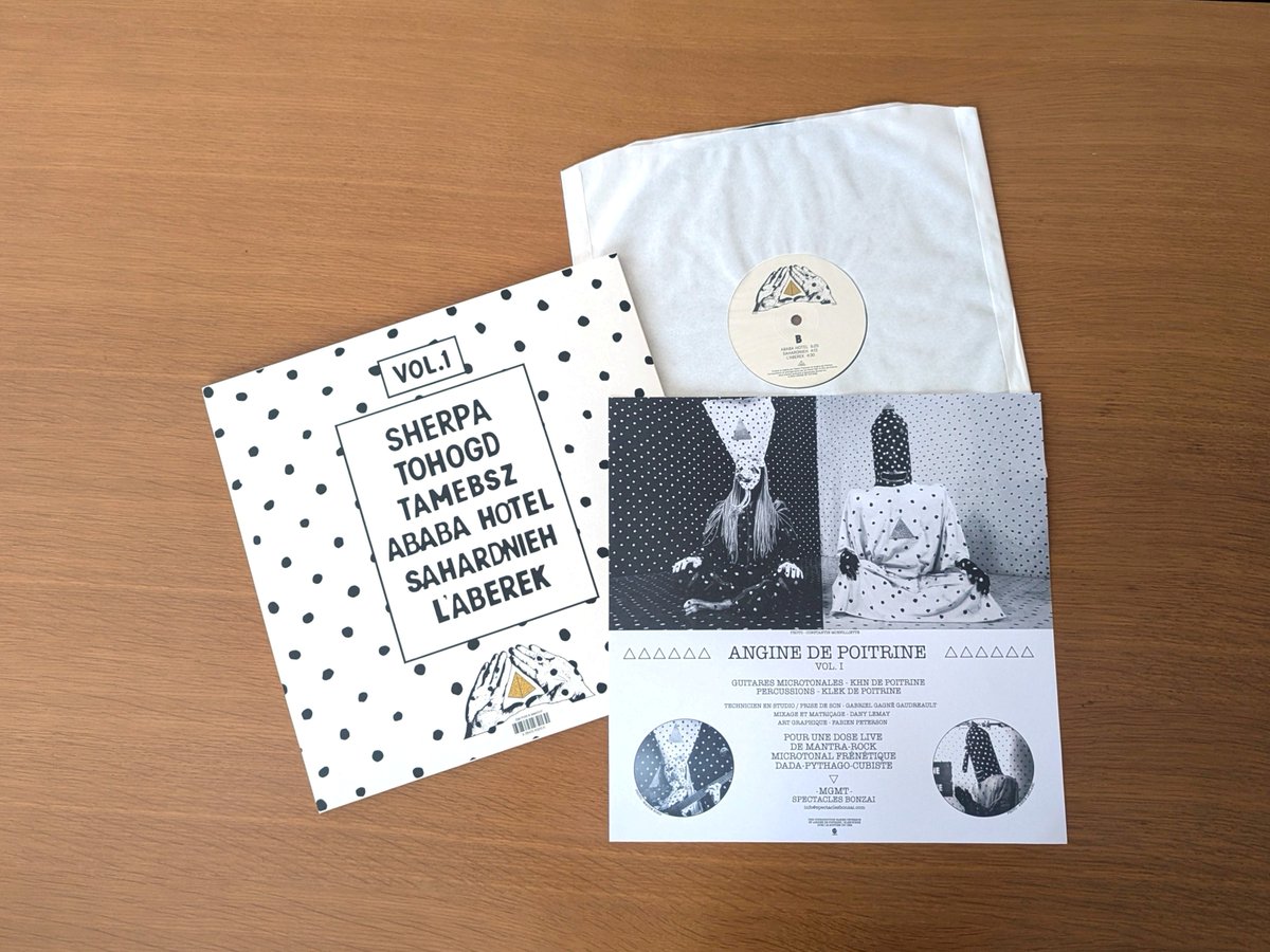 Angine de Poitrine / Vol.Ⅰ（Vinyls版） とりあえず入手記録完了