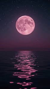 moondailys's tweet photo. https://t.co/SNthTRX0eW