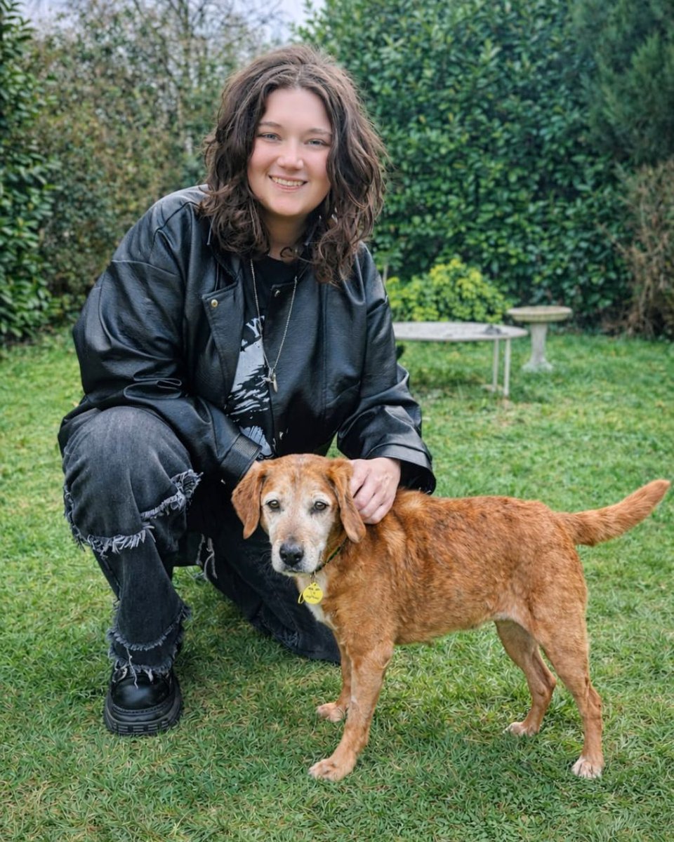 DogsTrust's tweet photo. At 13 years old, Layla's life was turned upside down when her owner passed away.

Through her grief, she needed lots of comfort. The best place for Layla was to be placed into a loving foster home where she could receive all the love and care that she was used to. https://t.co/0ZyPDUIMGu