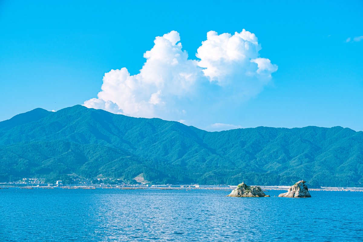 ann_photo05's tweet photo. 夏の魔物に連れ去られ僕のもとへ。 https://t.co/mMqh1ZLDzZ