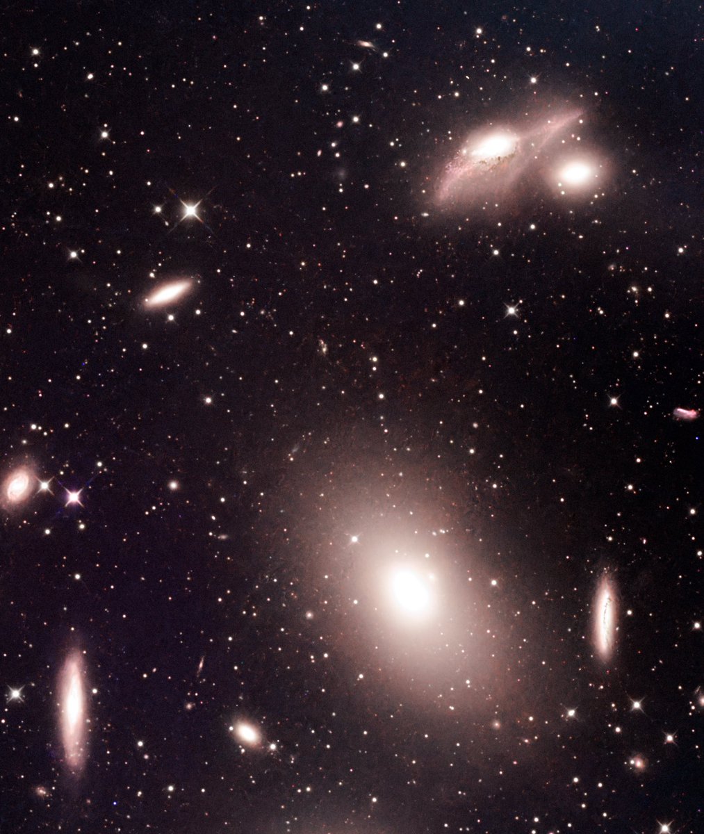 adonoan's tweet photo. 梅雨の間の星空散歩
上の銀河を拡大すると目のように見えることから
The Eyes Galaxiesって呼ばれてます
#stars #theeyesgalaxies #ngc4438 #markarianschain #26時間露光 https://t.co/1grVDlOfpQ