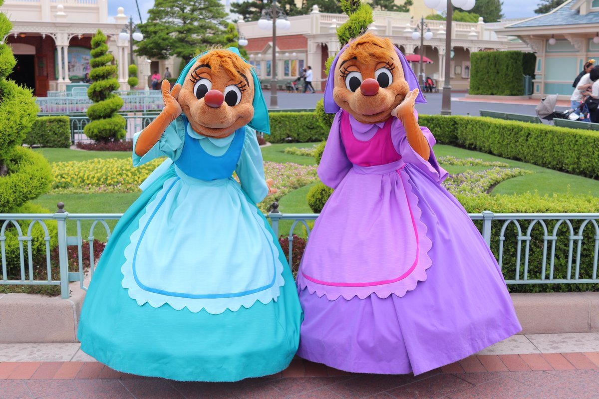mikiminiT's tweet photo. スージーちゃんの写真撮ってたらパーラちゃんも来てくれました😍 https://t.co/vbfyn8ouDH