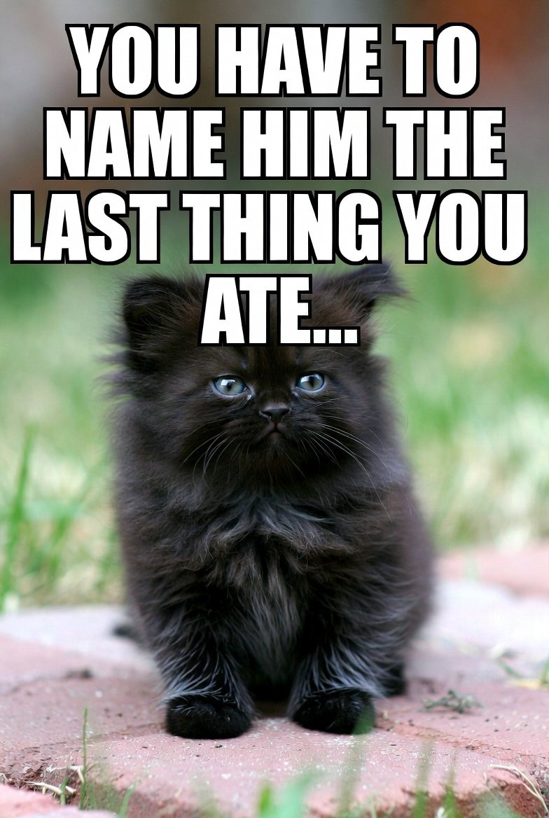 Jassmini2's tweet photo. Name little guy https://t.co/97g5S3OVUA