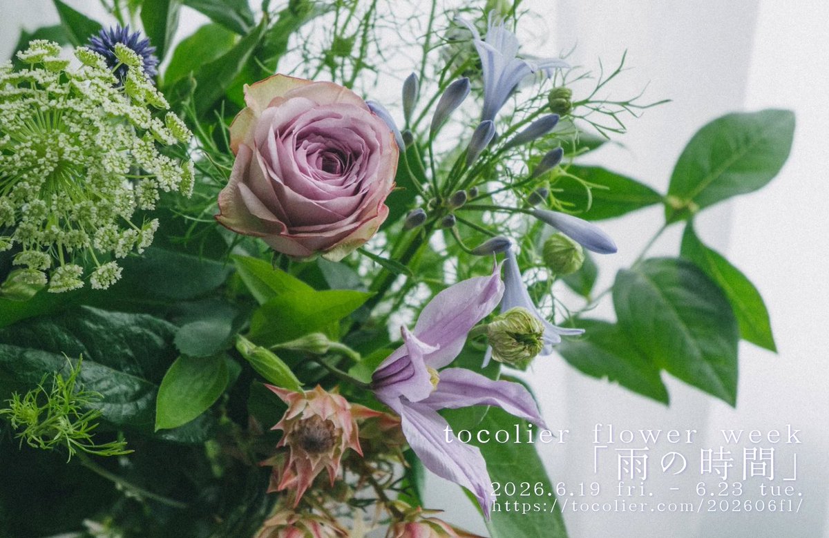 tocolier's tweet photo. 【6月のflower week、6/23(火)まで開催中！】

トコリエのアトリエでは生花販売と花撮影のイベント、tocolier flower week開催中です✨️
今月のflower weekの様子をこちらにUPしました。
写真のキャプションに花名も入れています。

https://t.co/q7ofezfmC3 https://t.co/QYDcaLjZwn