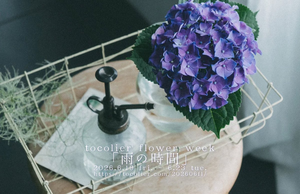 tocolier's tweet photo. 【6月のflower week、6/23(火)まで開催中！】

トコリエのアトリエでは生花販売と花撮影のイベント、tocolier flower week開催中です✨️
今月のflower weekの様子をこちらにUPしました。
写真のキャプションに花名も入れています。

https://t.co/q7ofezfmC3 https://t.co/QYDcaLjZwn