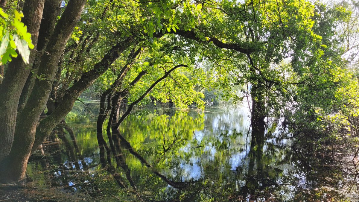 Dams0625's tweet photo. @earthcurated https://t.co/E2ACvZlaeX