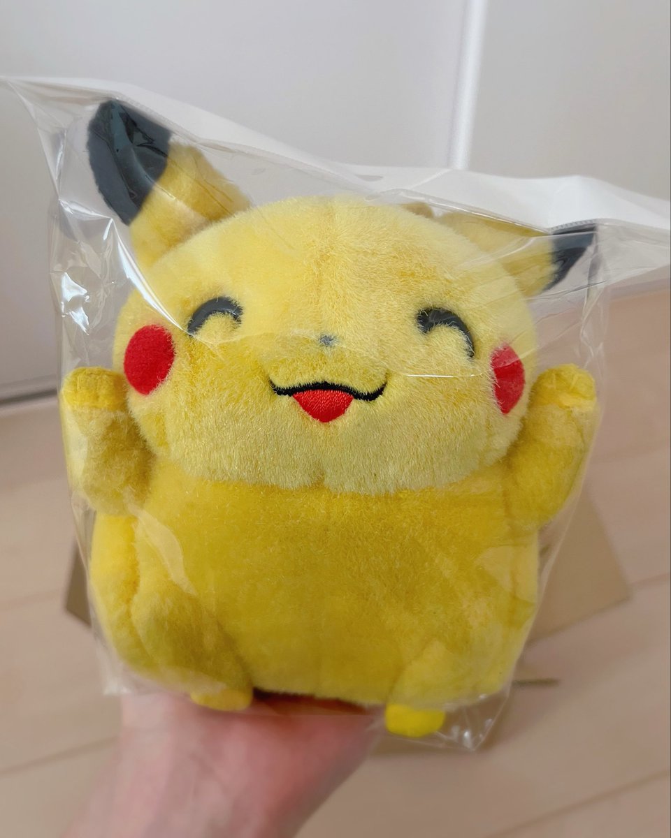 yuyu0155's tweet photo. これはちょっと前にお迎えしてたバンザイちゃんだよ。名前は「せんべい」ちゃん。よろしくね🙌✨ https://t.co/ysQv0CJlwd