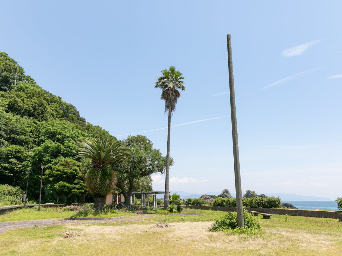 sadiary_ikata's tweet photo. 【川之浜海水浴場🌊】
川之浜地区にある「川之浜海水浴場」は、約1kmにわたって天然の白い砂浜と透明度の高い穏やかな海が続く絶景ビーチです⛱️
波打ち際がうねうねとウェーブしているのが特徴的で、夕暮れ時には水面がキラキラと光り、ゆったりした波の音にいつも癒されてしまいます✨
#伊方町 https://t.co/rFHc4qtak5
