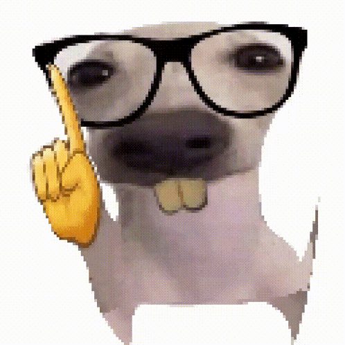CyStroudPose's tweet photo. she's so stupid bro I luv her https://t.co/w2IVxPqHBv