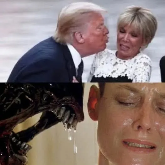 wojathome's tweet photo. 2 scenes with the same vibe. https://t.co/guwb85Qcqu