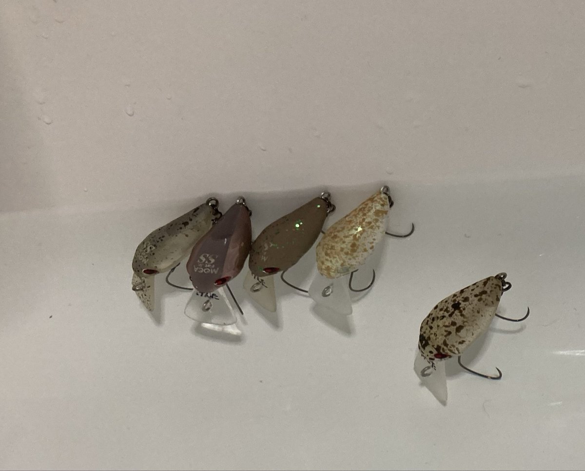 19ken70ta's tweet photo. 通常は水に浮き、実使用時にSSとなるウェイト設定

との事で手持ちを確認

左から
S.M6、キラキラ、黒まんじゅう、美鬼、15ノブ

レッドグローの比重分（かな？）15ノブは通常でもスローシンキングみたい

実釣では15ノブは１枚下のレンジをトレースするイメージが大切になりそう

#ファットモカJrDRSS https://t.co/G2hUA2xkIf