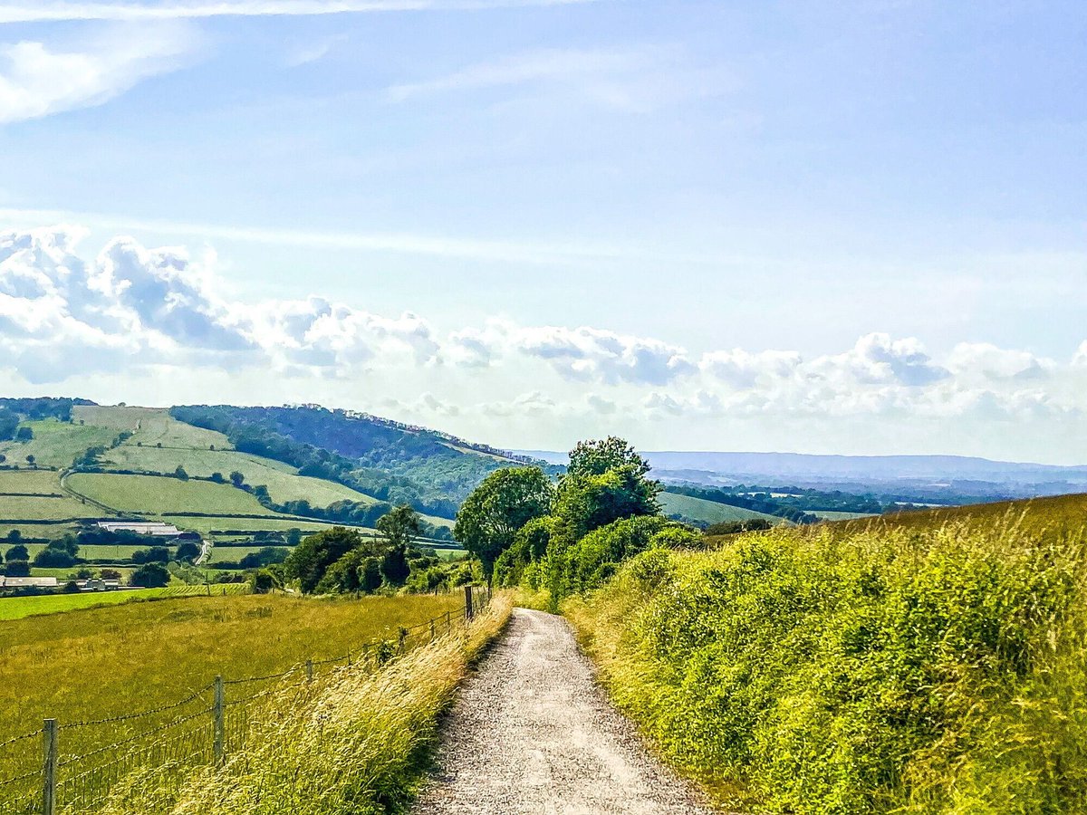 sdnpa's tweet photo. Celebrating, remembering, or just enjoying a peaceful walk - however you’re spending Father’s Day, the South Downs is here for you. 

📸: Stuart Gerrett https://t.co/tL5rmCzNUB
