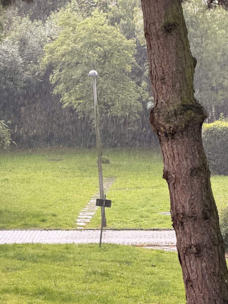 Anfrastique's tweet photo. #schietwetter https://t.co/5XvCmv16y9
