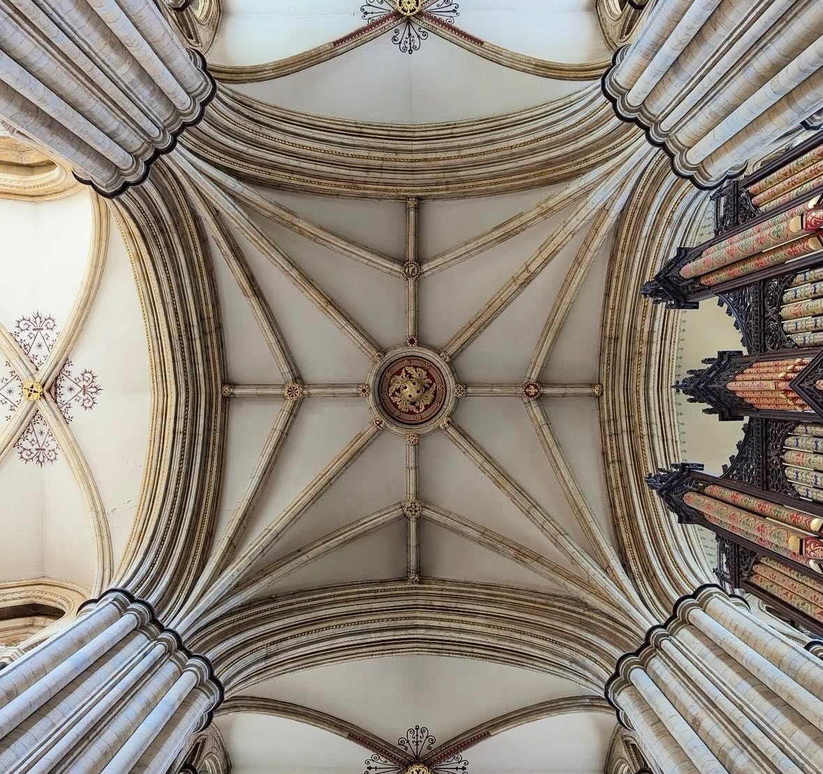 dddmont's tweet photo. The Symmetry Above is honoured to feature this image from Paris by our Member @philippe.modolo 

To be featured become a follower or tag your symmetrical ceiling photos with #thesymmetryabove 
Follow @thesymmetryabove 
Founder: @blindsay72 https://t.co/cYBdZDpfKc