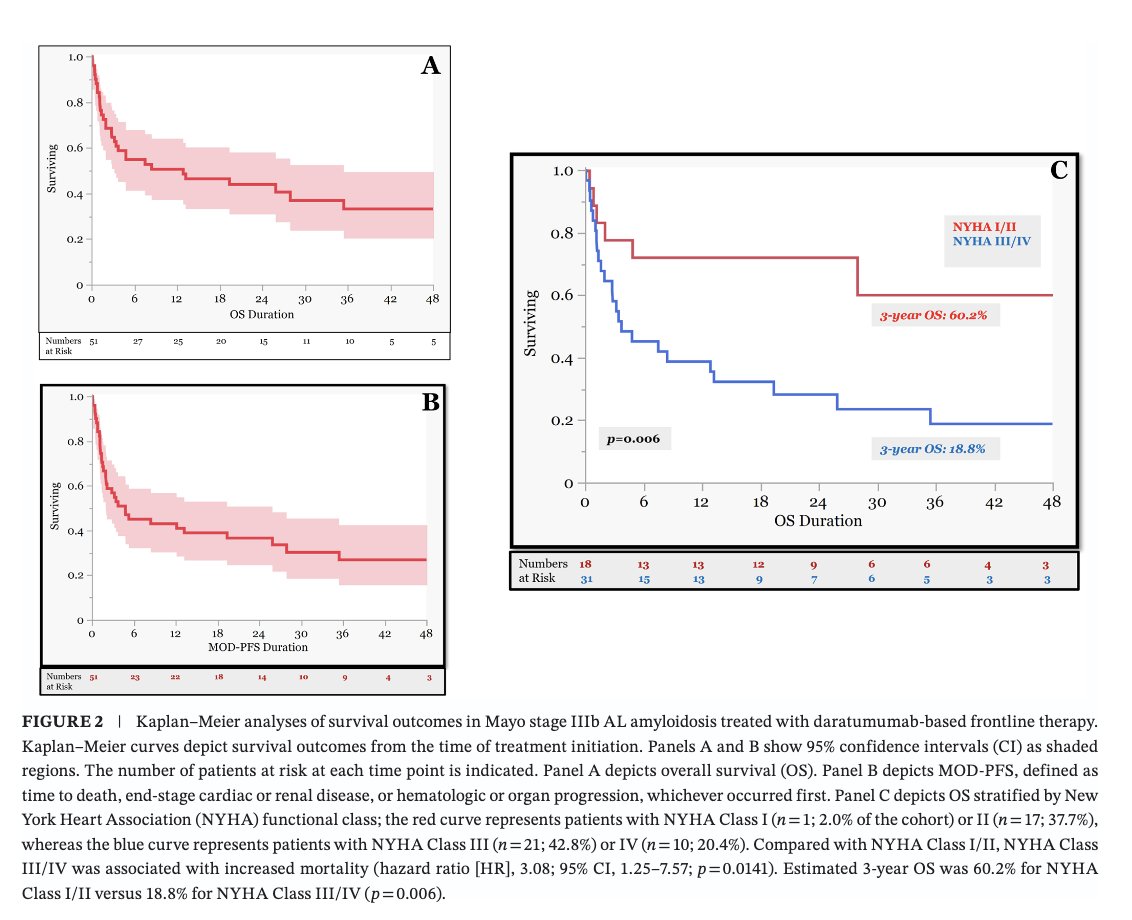 Myeloma_Doc's tweet photo. #Myeloma Paper of the Day: Study of long-term outcomes of Mayo stage IIIb AL #amyloidosis treated w/ daratumumab-based frontline therapy finds improved survival vs. pre-daratumumab cohorts (median OS 12.9 vs 4–6 months): https://t.co/3jRgwArUbl. #alsm https://t.co/FhYqrcYhwk