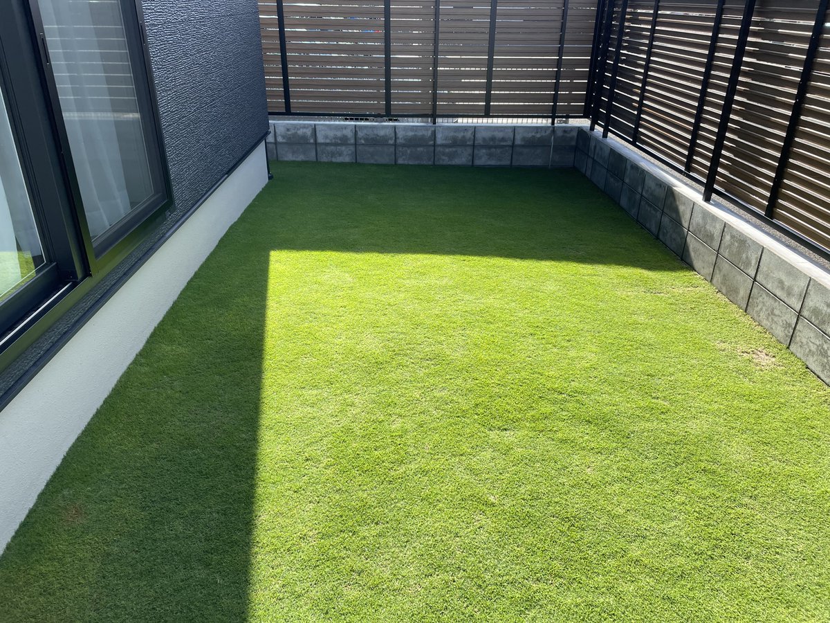 BonGreen_art's tweet photo. 今の所、芝生に大きな被害は出てないがシバトツガの痕跡が🫆庭でよく子供と遊ぶ為、薬剤は見送って手作業で回収。芝生が白く枯れた所を集中操作開始です🐛
デカイ幼虫から小さい幼虫まで取れました
#芝生 https://t.co/6XbGVvt4VT