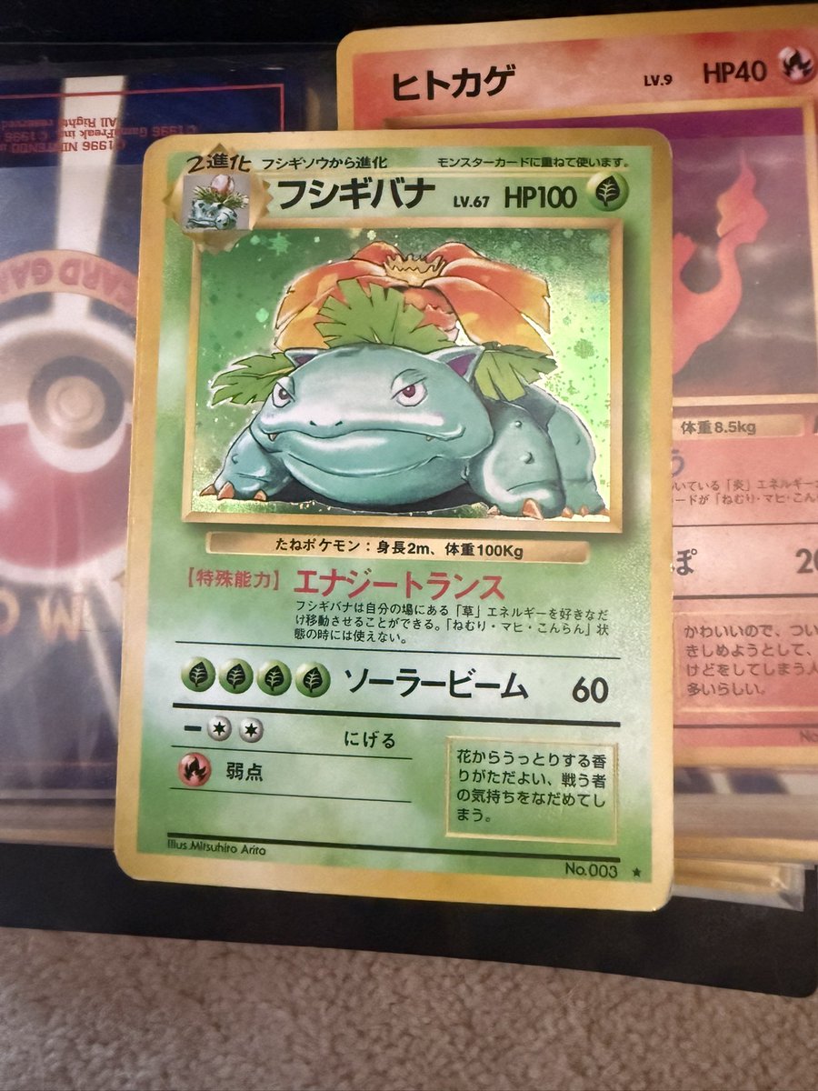 koodoru_hidari's tweet photo. 家に眠っている旧裏のポケモンカード達ってどれくらい価値あるんだろうか https://t.co/T53E8xHGNv