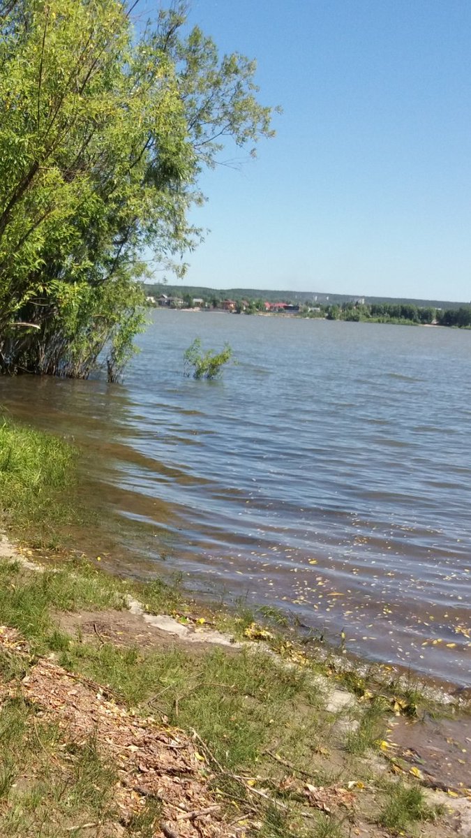 vseproidet2's tweet photo. Дошли до берега по жаре,вода прохладная.Купалась и заметила - появились желтые листочки в воде.Хочется немного попрохладнее погоды и дождя,чтобы пыль прибил.. https://t.co/mzS5HavfoJ