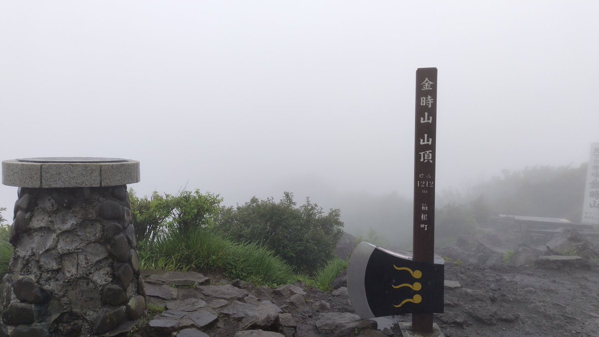 MB28380607's tweet photo. 雨の中金時山に登ってきた。眺望はゼロだったけど登山欲は満たされた。蒸し暑くて汗だくになったので金太郎茶屋のしめじ汁がとても美味しかった。
ギンリョウソウを初めて見て感激した。雨でも楽しい山行だった。 https://t.co/nK4f8Vb8jH