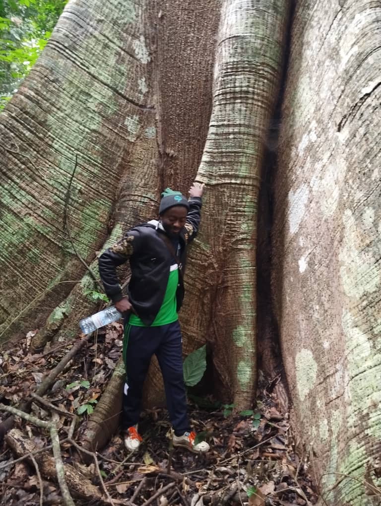 AbiluTangwa's tweet photo. Please be the first amongst the thousands to like, comment and  repost this message if you believe that our remaining forest in the Amazon and in the Congo basin must be protected for climate action and environmental sustainability. No to deforestation and ecocide. https://t.co/5asmnxBRyu