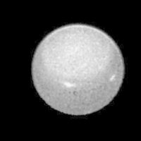 buwygibxo's tweet photo. petal - uranus https://t.co/Kc0clePFQL