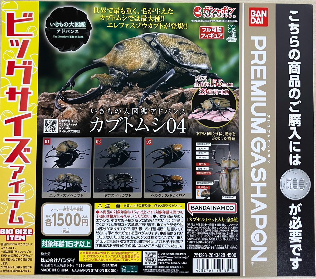 🌟新商品入荷 『#いきもの大図鑑 アドバンス カブトムシ04