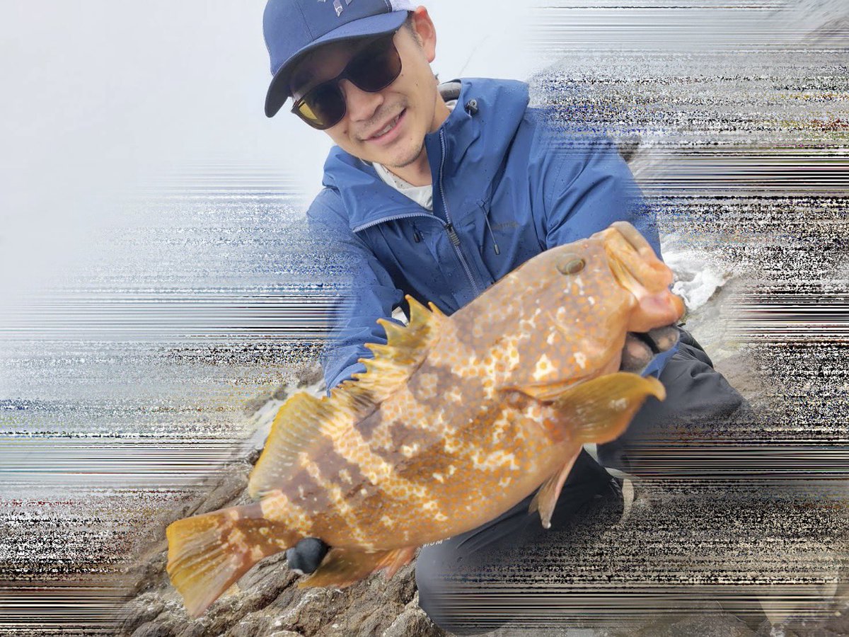 os0102's tweet photo. 十和田湖最終日、良い魚をバラして終了でしたが、本日は日本海

青森のショアでこのサイズのキジハタはヤバイ https://t.co/vaWeY75lNK