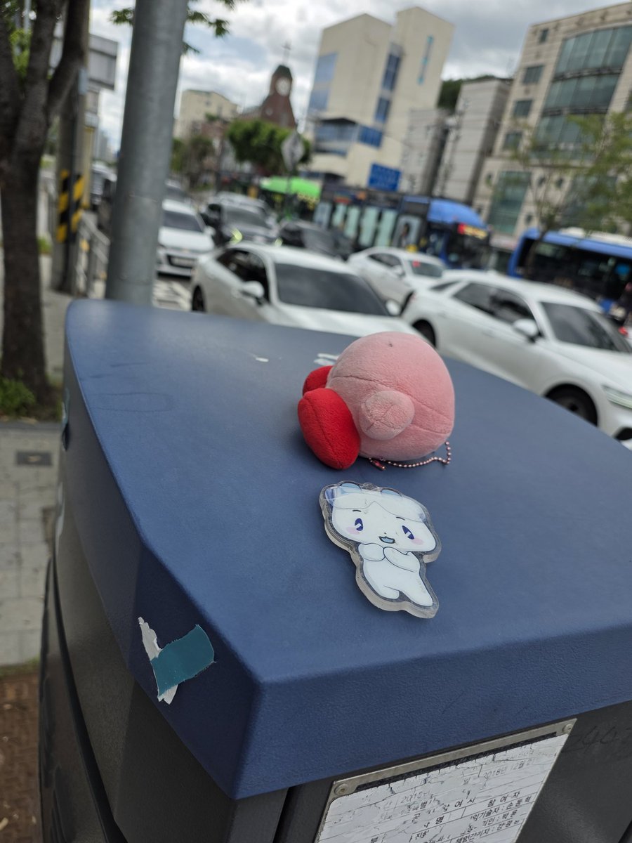 kkotbat_123's tweet photo. 십카페 근처 주유소쪽(문김밥 앞 횡단보도) 신호제어기 위에 애기가 울고있어여 잃어버린 풀리님 데릴러와주새요 https://t.co/pnppiuhihO