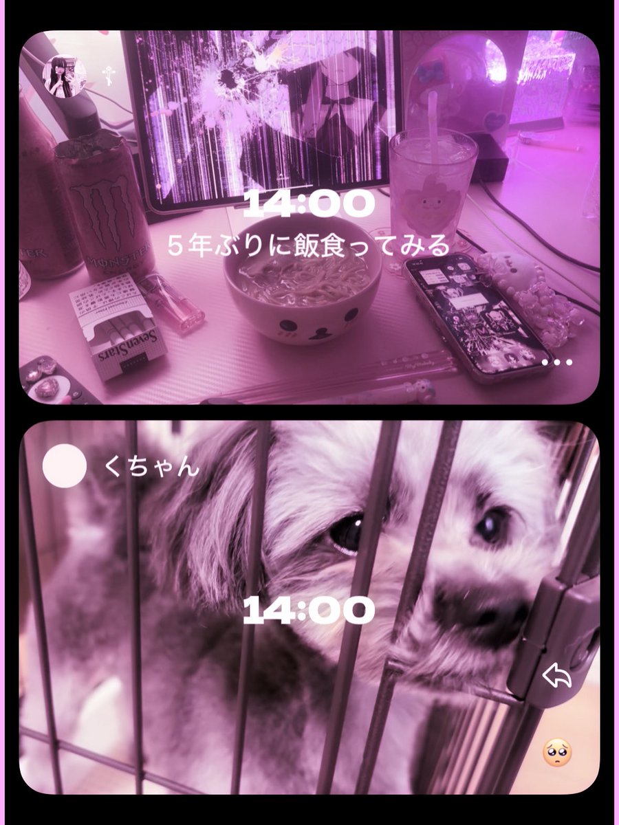 暴力的で猟奇的♥ tweet media