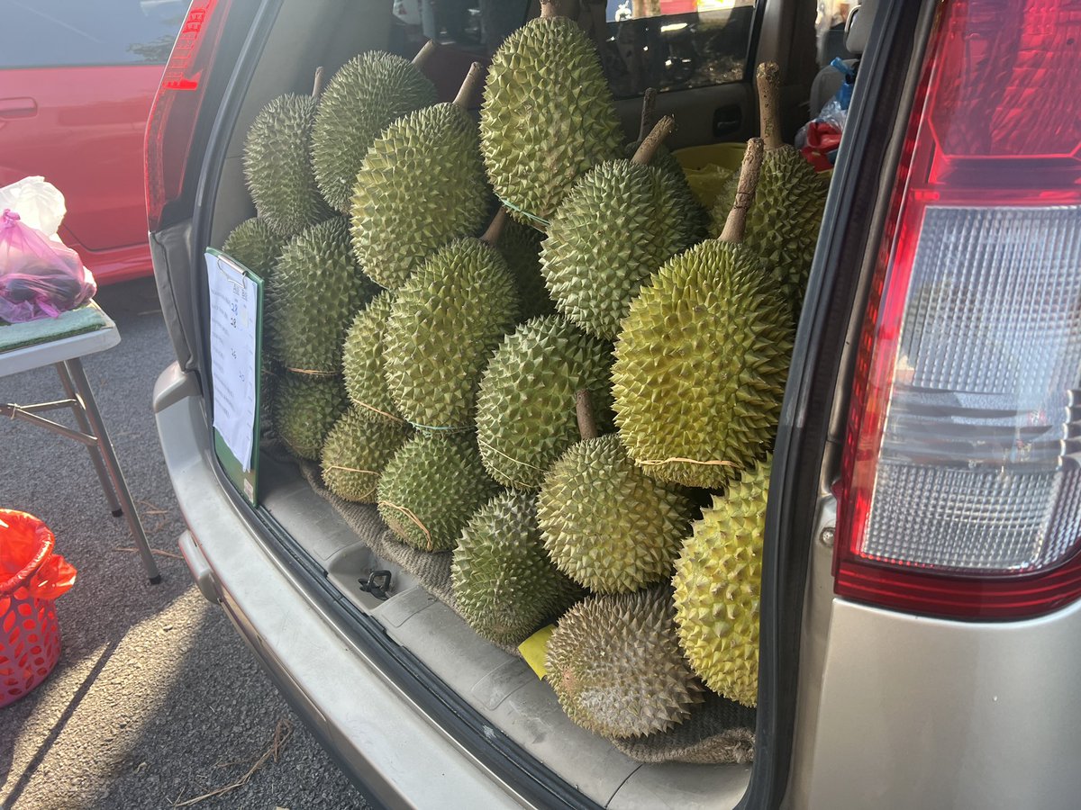 Ibukisora88's tweet photo. 日本留学してた時、新宿の果物屋で5,000円くらいでドリアン売ってたのを見かけたけど、今年はいつもよりかなり多く収穫されてたらしく、おおよそ1,100円で売られてます！
配信で食べたかったけどエレベーターに持って入れないのじゃ…
ちなみに、ドリアンの旬は5月から7月だよ！
#マレーシア #ドリアン https://t.co/s5CWWZPVQK