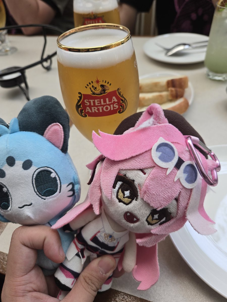 가온🐱🧪🐾 tweet media