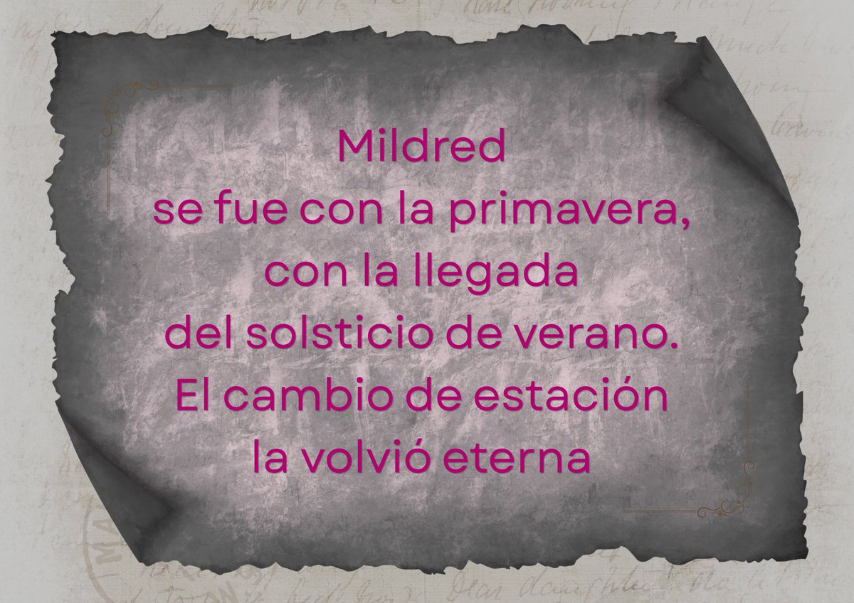 SelesmeCari's tweet photo. Mildred se fue con la primavera, con la llegada del solsticio de verano. El cambio de estación la volvió eterna 🤍 https://t.co/zwZO2zHPSz