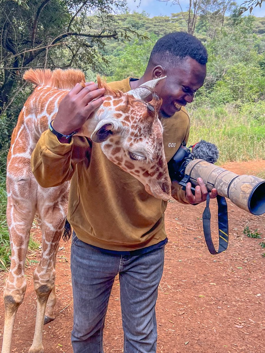 OumaJr256's tweet photo. Happy world giraffes day https://t.co/0sW7vziVQU