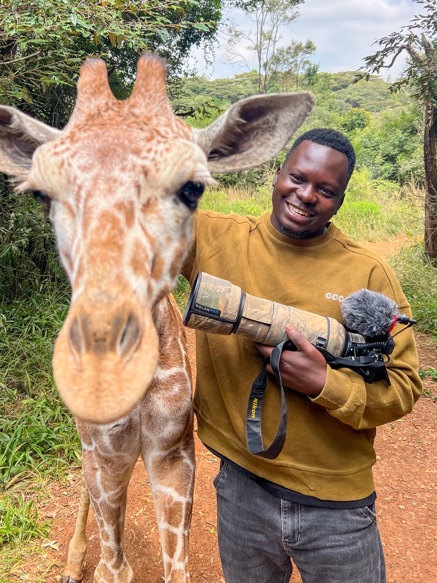 OumaJr256's tweet photo. Happy world giraffes day https://t.co/0sW7vziVQU
