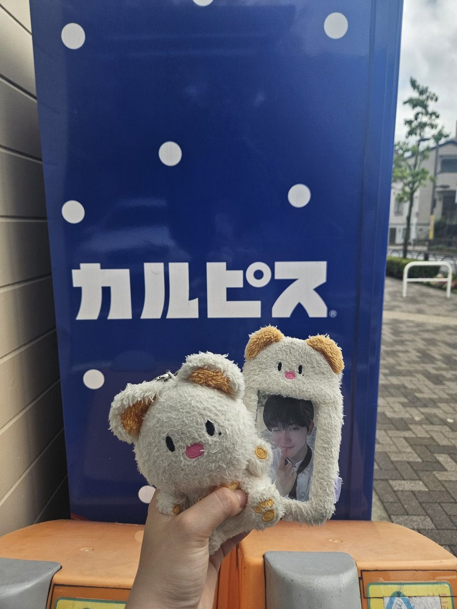 eonchan_0403's tweet photo. カルピス自販機を発見！！カルピスオタクのスンオンとポルンイと一緒に📷⟡.·
(ENNVEになってからカルピスという言葉に敏感に……) https://t.co/bzu7dRakGN