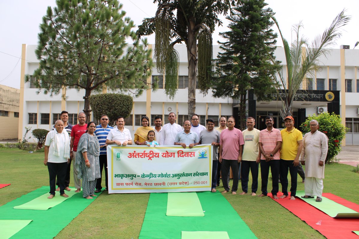 ICAR_CIRC's tweet photo. Meerut, June 21, 2026: ICAR-Central Institute for Research on Cattle (ICAR-CIRC), Meerut celebrated the 12th International Day of Yoga on June 21, 2026 with great enthusiasm and active participation of its staff members. #IDY2026, #NarendraModi, #PMOIndia, #PMOffice, #dgicar https://t.co/iadI5Wy8cf