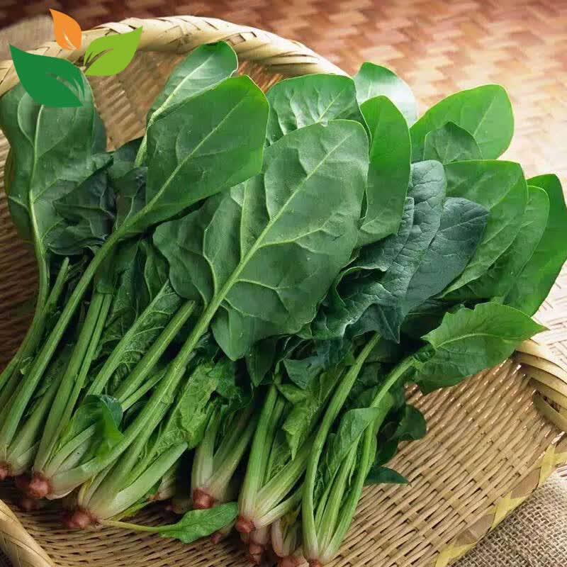 morisww's tweet photo. Fresh organic spinach u0026 cherry tomatoes in stock! Grab them for your weekend salad tonight ， https://t.co/h9iLyeqt5B