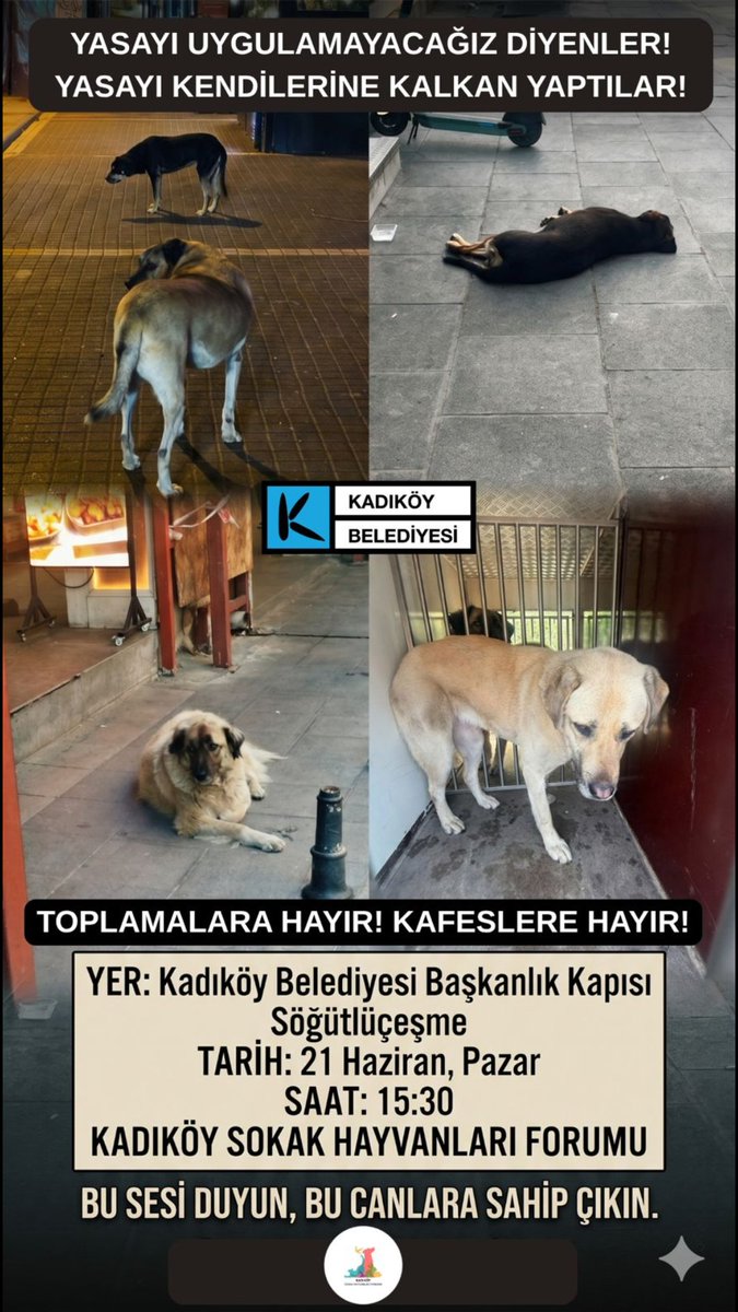 gokteke_elif's tweet photo. Yasayı uygulamayacağız diyenler yasayı kendilerine kalkan yaptılar!
İlçenin sakin, uysal, uyumlu köpeklerini DE toplayıp hapseden @kadikoybelediye 'yi bugün saat 15.30'da protesto ediyoruz. Bize katılın. https://t.co/kRH2bZEex6