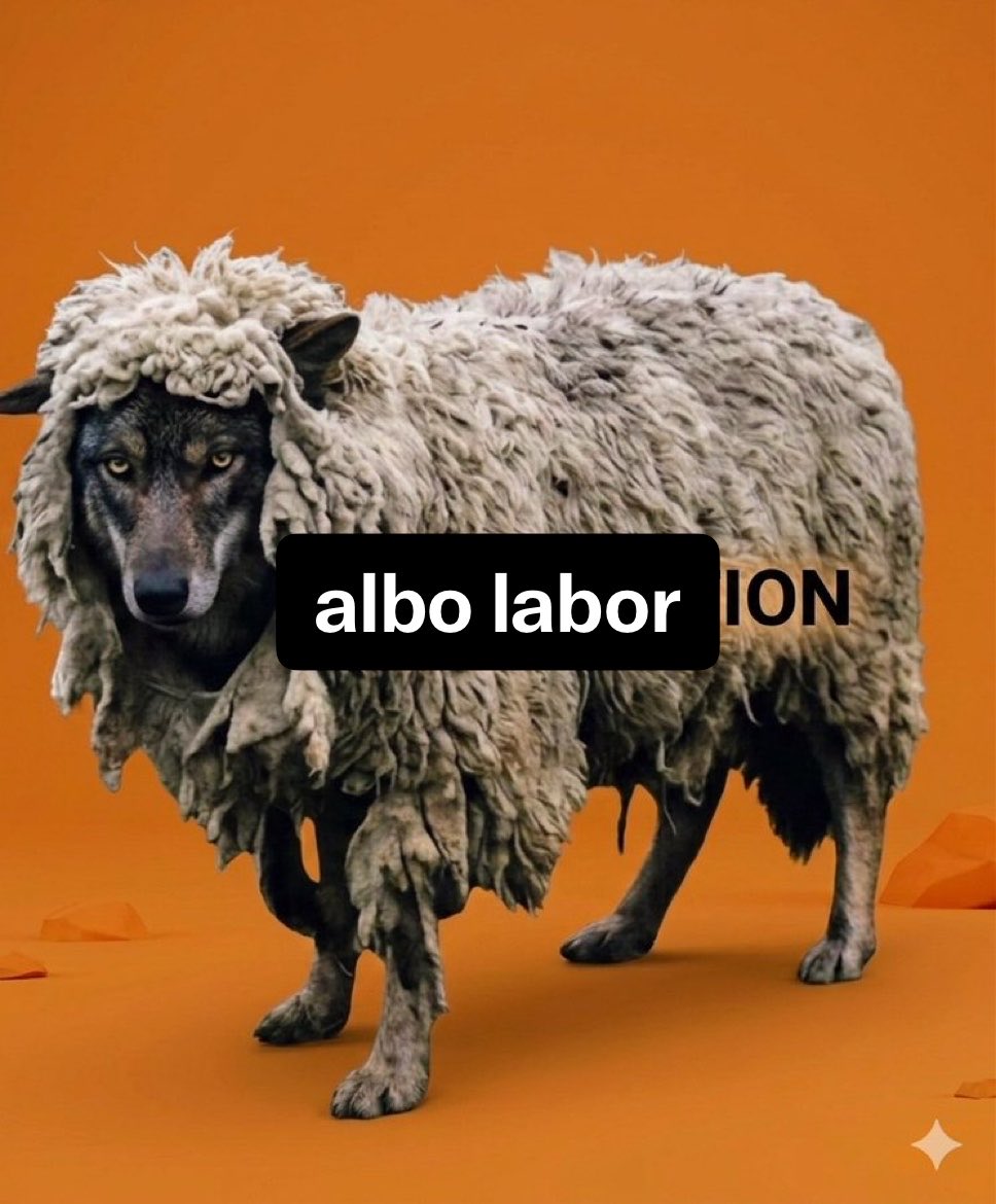 vallelrolfe's tweet photo. https://t.co/gM9RrFU6pp